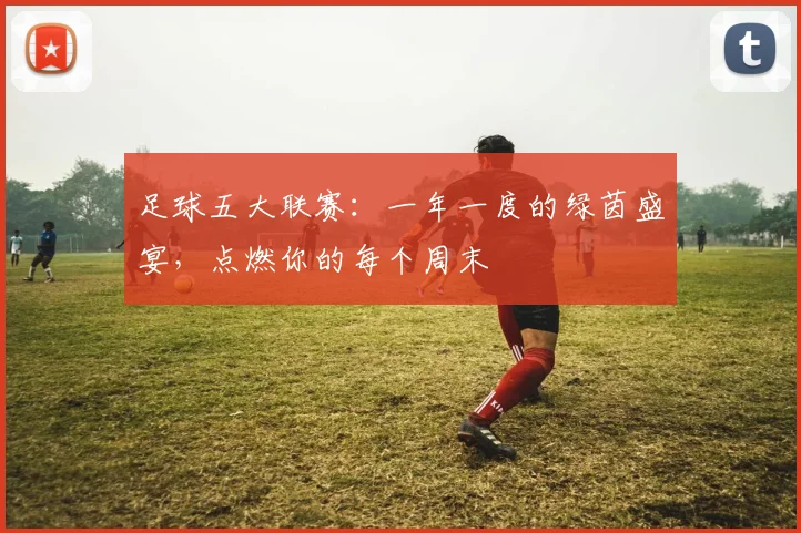 足球五大联赛：一年一度的绿茵盛宴，点燃你的每个周末